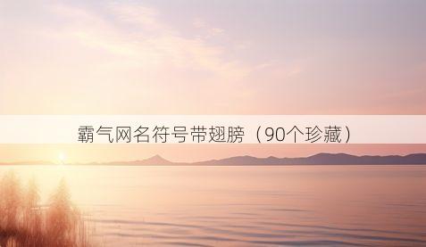霸气网名符号带翅膀(90个珍藏)