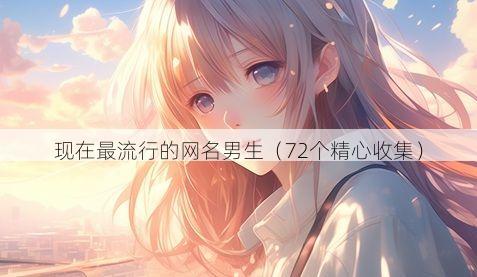 现在最流行的网名男生(72个精心收集)