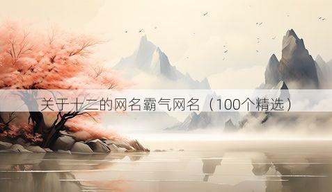 关于十二的网名霸气网名(100个精选)