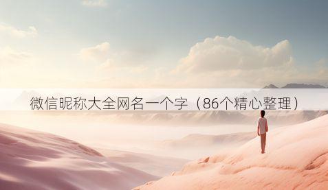微信昵称大全网名一个字(86个精心整理)