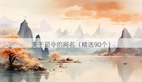 关于司令的网名(精选90个)