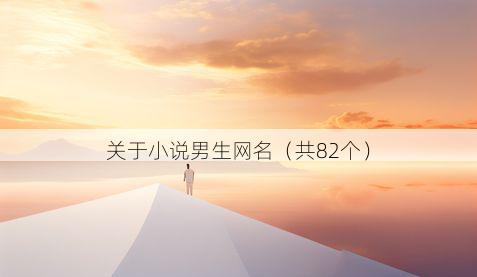 关于小说男生网名(共82个)