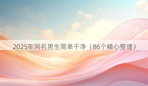 2025年网名男生简单干净(86个精心整理)