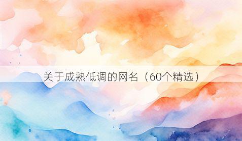 关于成熟低调的网名(60个精选)