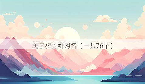 关于猪的群网名(一共76个)