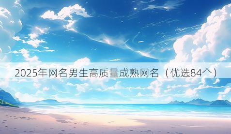 2025年网名男生高质量成熟网名(优选84个)