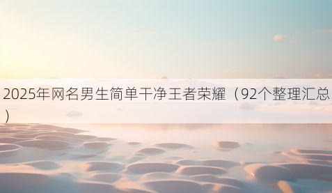 2025年网名男生简单干净王者荣耀（92个整理汇总）