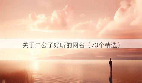关于二公子好听的网名(70个精选)