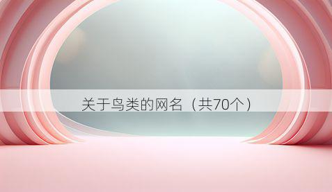关于鸟类的网名(共70个)