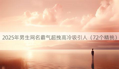 2025年男生网名霸气超拽高冷吸引人(72个精挑)