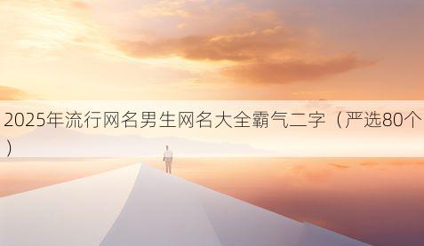 2025年流行网名男生网名大全霸气二字(严选80个)