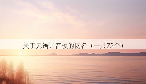 关于无语谐音梗的网名(一共72个)
