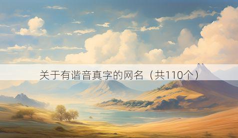 关于有谐音真字的网名（共110个）