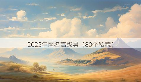 2025年网名高级男(80个私藏)