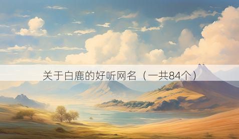 关于白鹿的好听网名(一共84个)