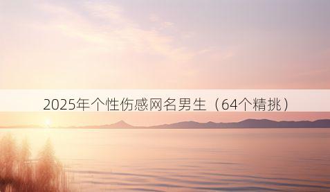 2025年个性伤感网名男生(64个精挑)